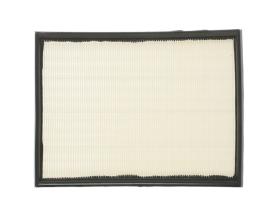 RIDEX 8A0052 - FILTRO AIRE