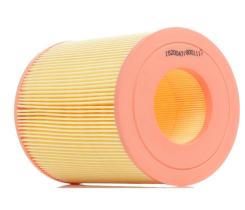 RIDEX 8A0094 - FILTRO AIRE