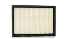 RIDEX 8A0153 - FILTRO AIRE