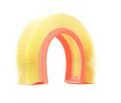 RIDEX 8A0173 - FILTRO AIRE
