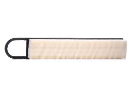 RIDEX 8A0176 - FILTRO AIRE